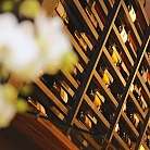 Scaffale con bottiglie di vino e fiori in primo piano.